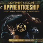 PROGRAM STAŻOWY  “MOVEMENT MEDICINE APPRENTICESHIP” 