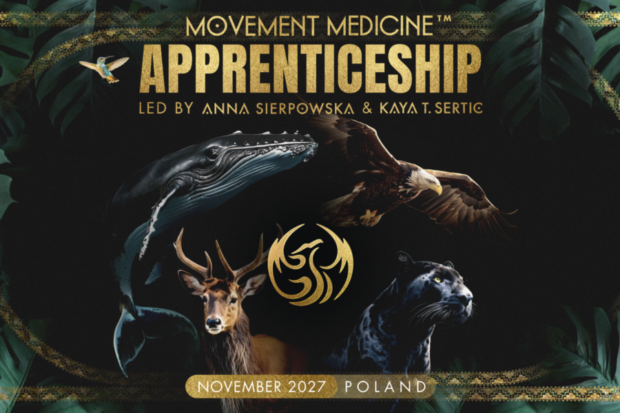 PROGRAM STAŻOWY  “MOVEMENT MEDICINE APPRENTICESHIP” 