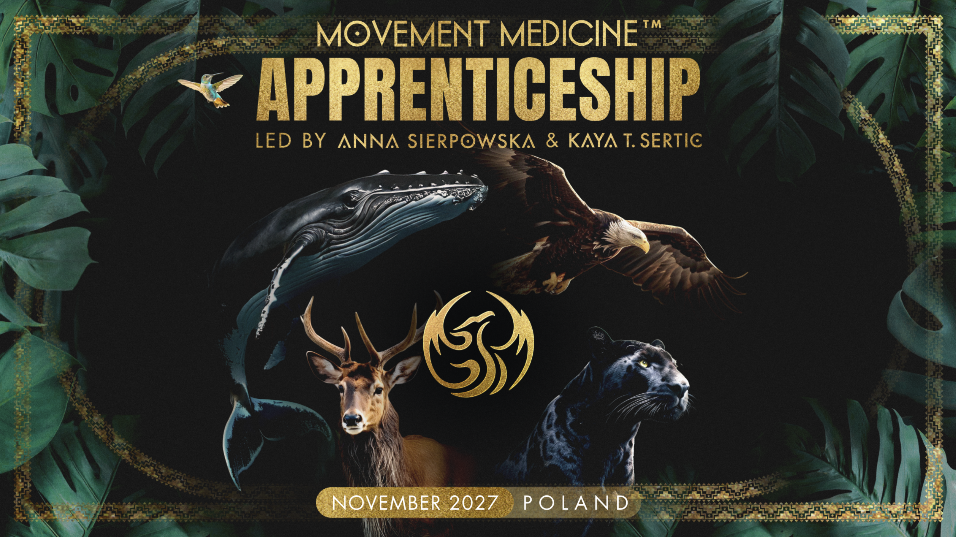 PROGRAM STAŻOWY  “MOVEMENT MEDICINE APPRENTICESHIP” 