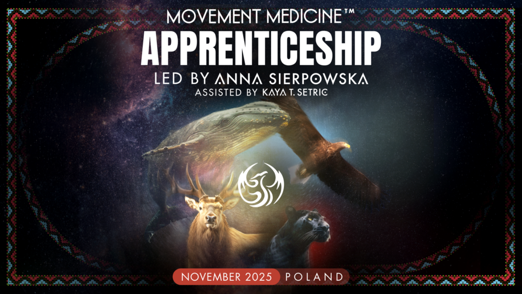 PROGRAM STAŻOWY  “MOVEMENT MEDICINE APPRENTICESHIP” 