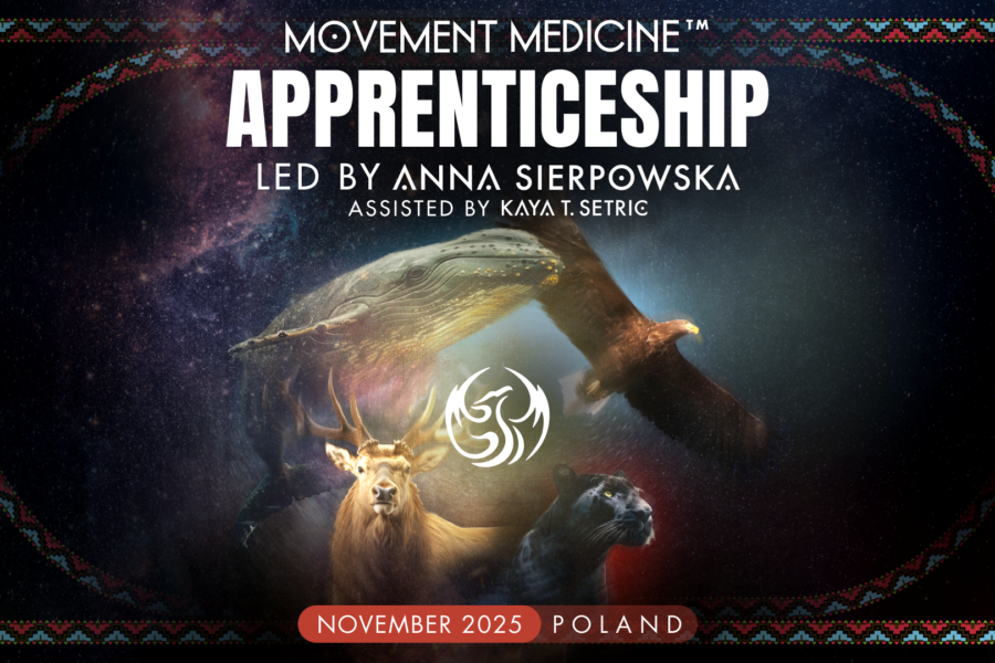 PROGRAM STAŻOWY  “MOVEMENT MEDICINE APPRENTICESHIP” 